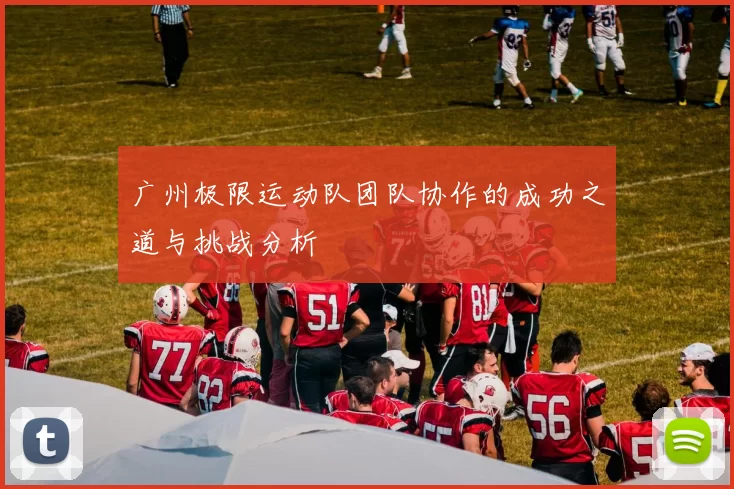 广州极限运动队团队协作的成功之道与挑战分析