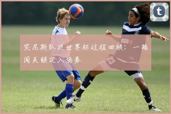 突尼斯队进世界杯过程回顾:一路闯关锁定入场券