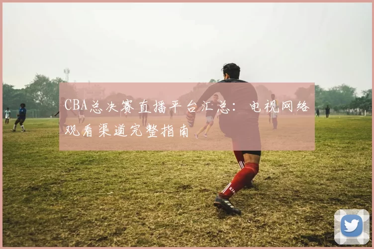 CBA总决赛直播平台汇总:电视网络观看渠道完整指南