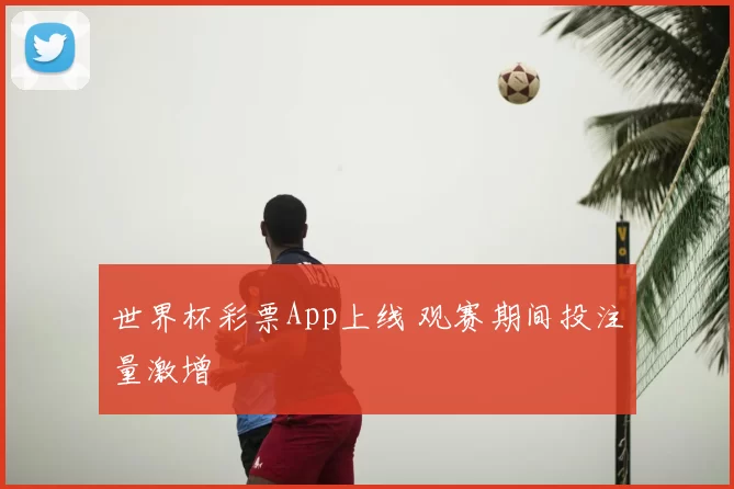 世界杯彩票App上线 观赛期间投注量激增