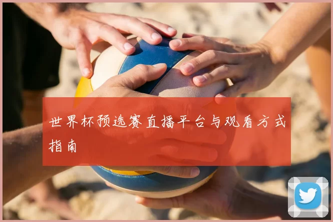 世界杯预选赛直播平台与观看方式指南