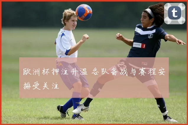 欧洲杯押注升温 各队备战与赛程安排受关注