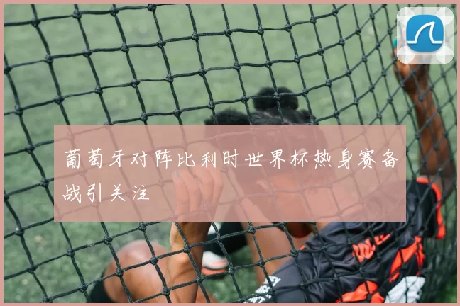 葡萄牙对阵比利时世界杯热身赛备战引关注