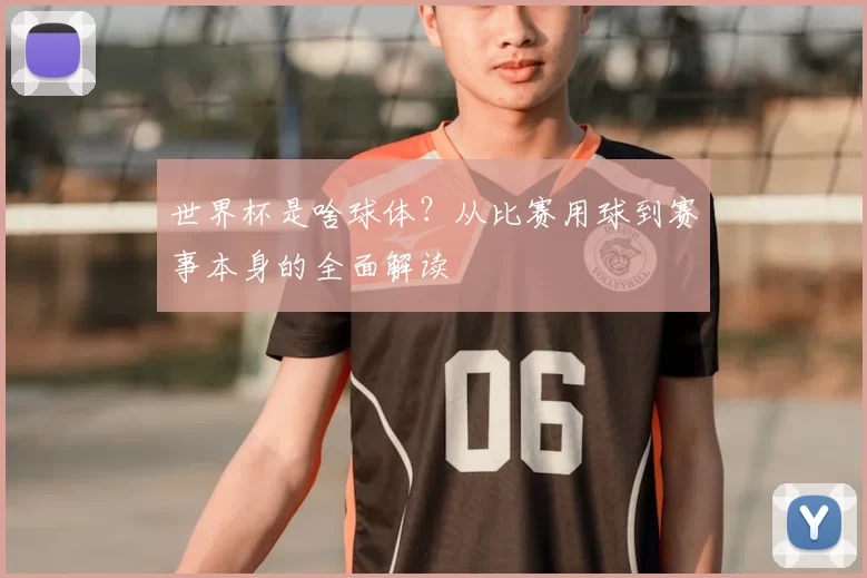世界杯是啥球体?从比赛用球到赛事本身的全面解读