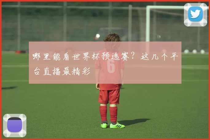 哪里能看世界杯预选赛？这几个平台直播最精彩