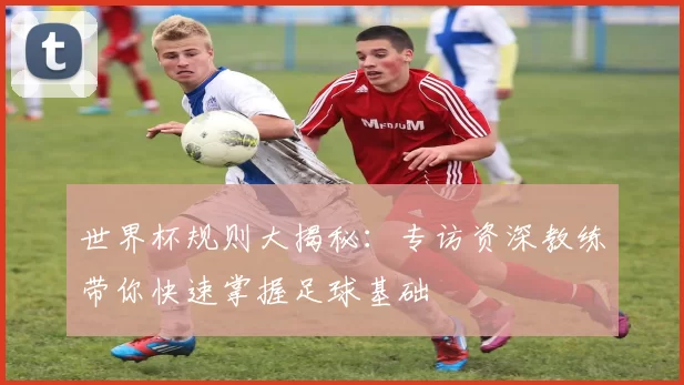 世界杯规则大揭秘:专访资深教练带你快速掌握足球基础