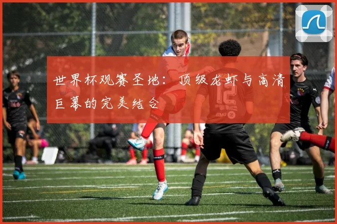 世界杯观赛圣地：顶级龙虾与高清巨幕的完美结合
