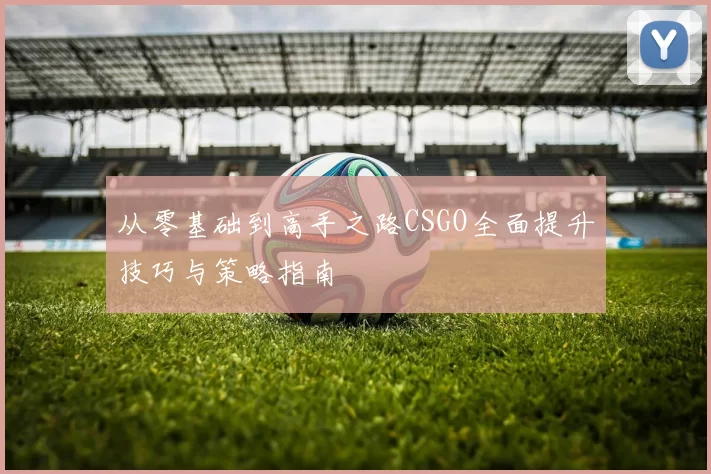 从零基础到高手之路CSGO全面提升技巧与策略指南