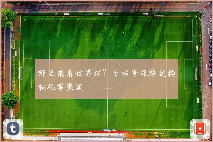 哪里能看世界杯？专访资深球迷揭秘观赛渠道