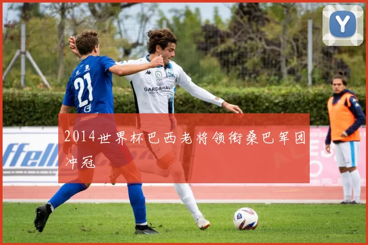 2014世界杯巴西老将领衔桑巴军团冲冠