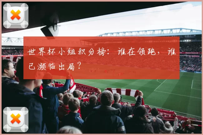 世界杯小组积分榜：谁在领跑，谁已濒临出局？