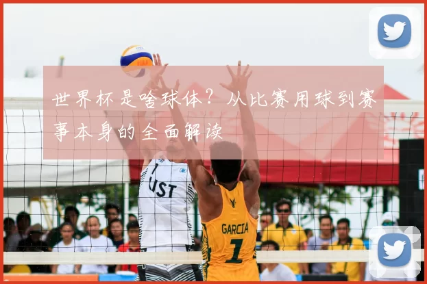 世界杯是啥球体?从比赛用球到赛事本身的全面解读