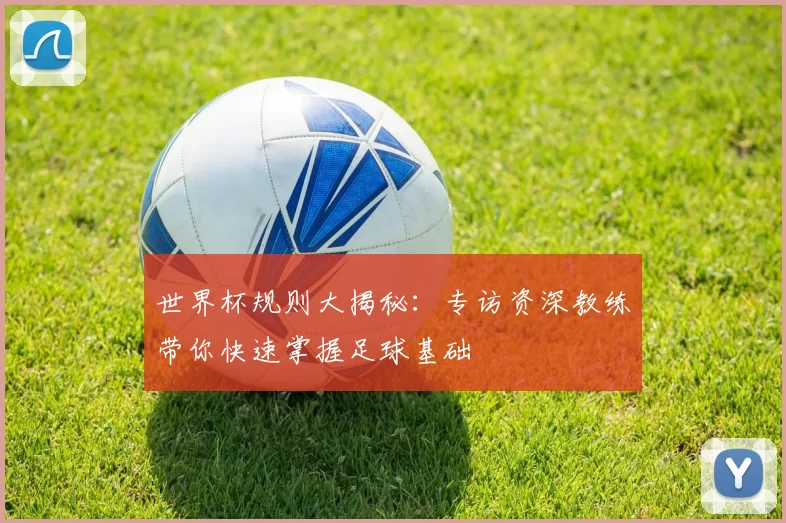 世界杯规则大揭秘：专访资深教练带你快速掌握足球基础