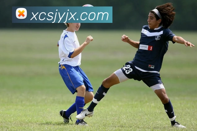 华体会APP 封面图